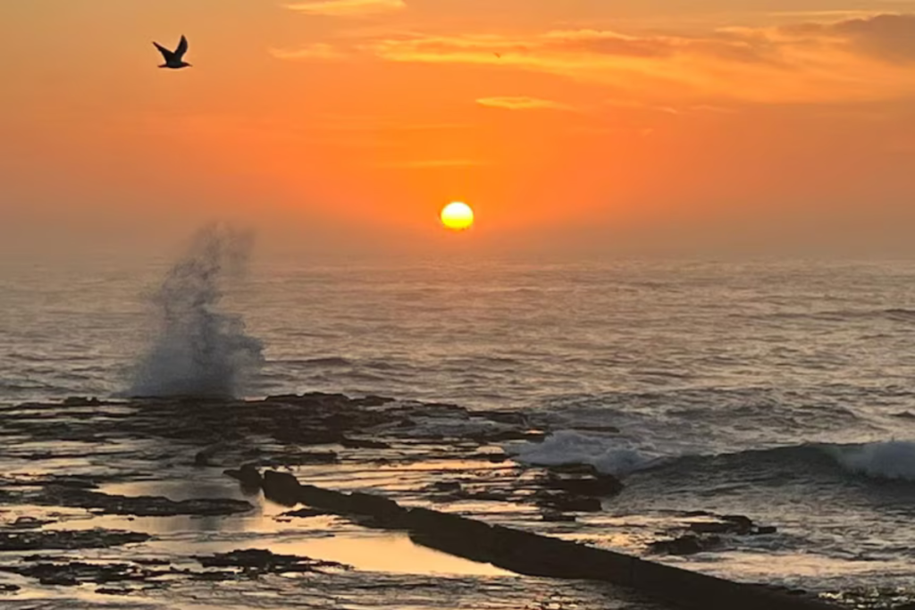 Weekend sport heat risks