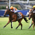 Karaka Millions 2026 filly